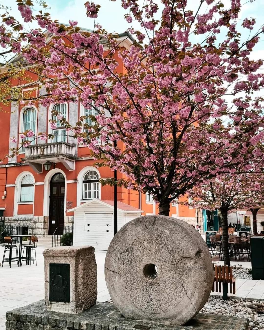 Apartment Lona Crikvenica Dış mekan fotoğraf
