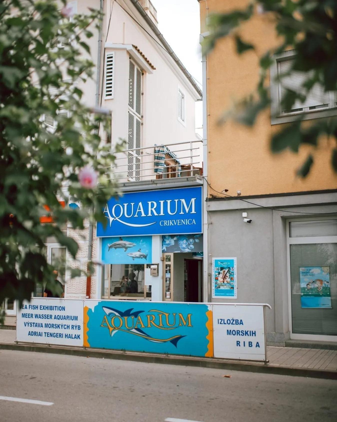 Apartment Lona Crikvenica Dış mekan fotoğraf